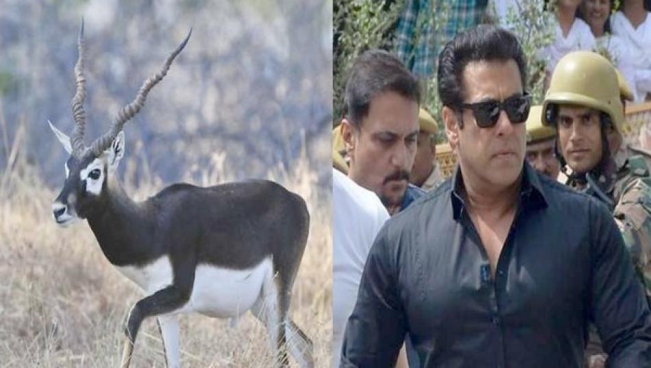 Salman Khan case was postponed to July 17.