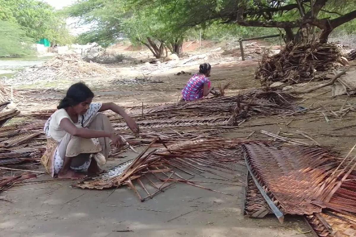 summer-women-earn-up-to-rs-250-daily-weaving-coconut-leaves-near-koodankulam