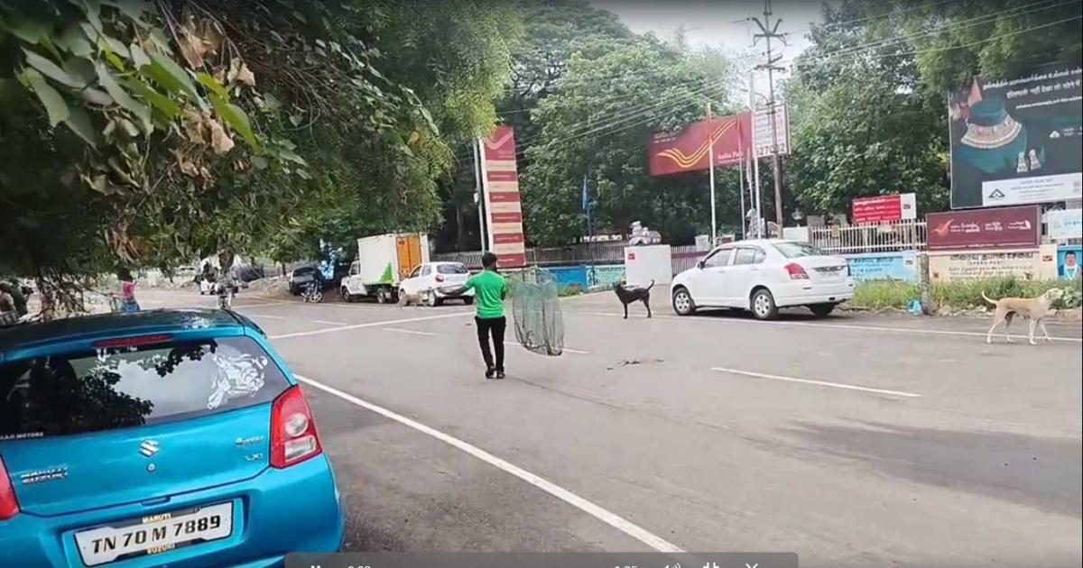 the-nellai-corporation-employees-ran-behind-dogs