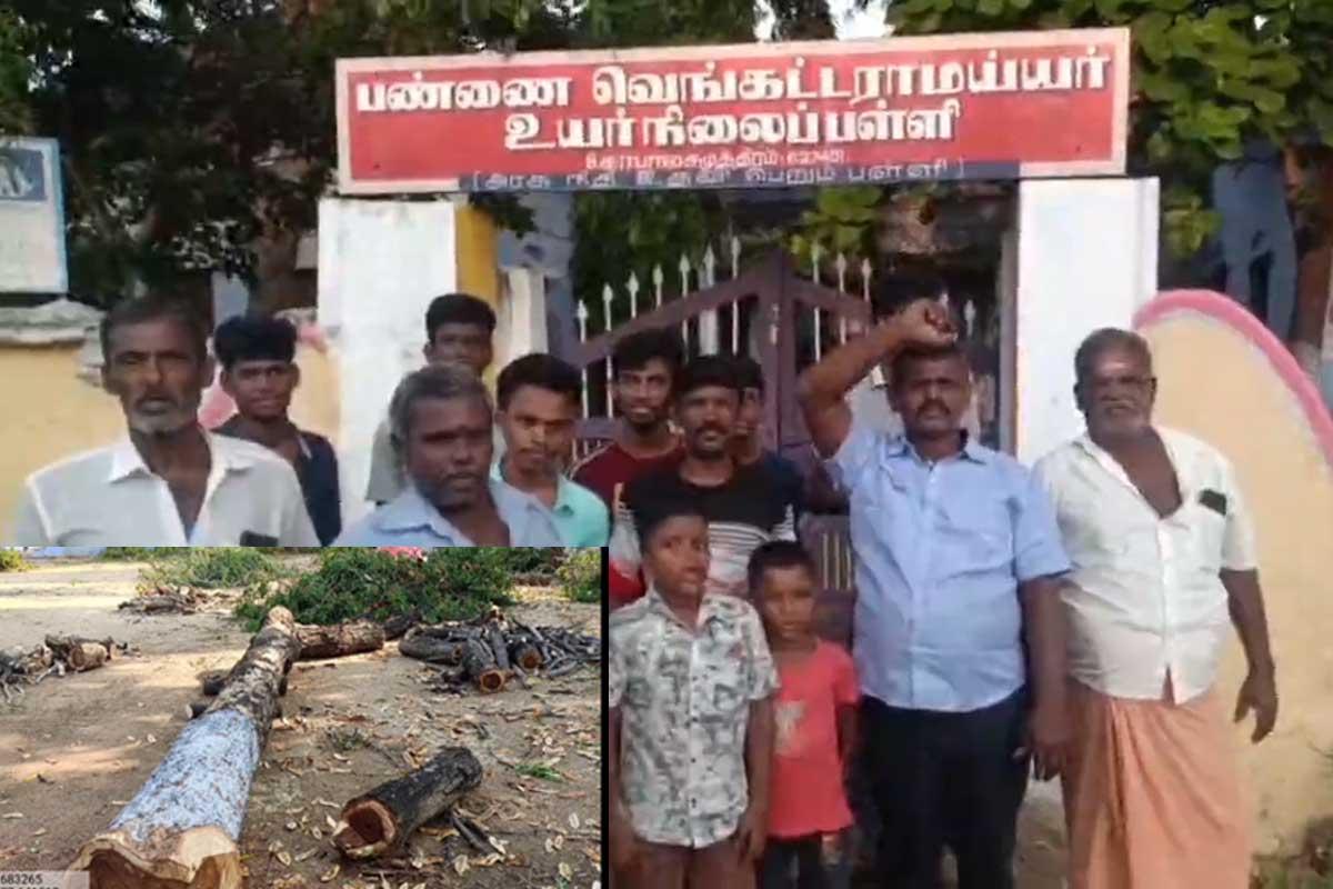 Cutting-and-destruction-of-trees-at-Gopalasamudram-High-School