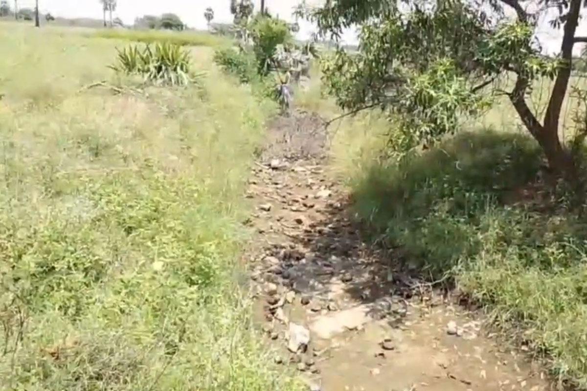 44-acres-of-agriculture-affected-due-to-damage-to-kolangulam-canal-nellai