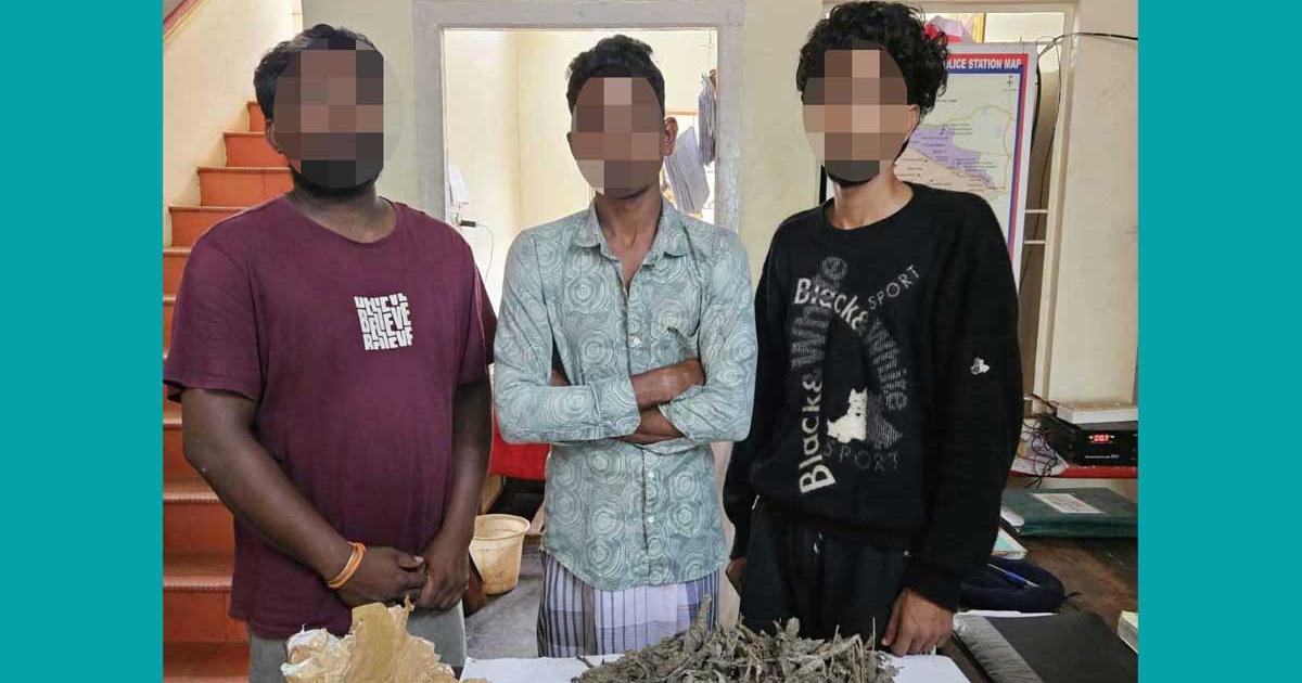 nagercoil-three-ganja-dealers-arrested-vehicle-seized