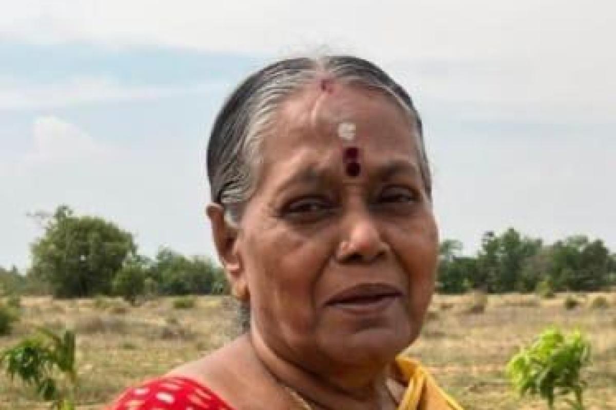 elderly-woman-murdered-for-gold-jewelry-in-valliyur-one-arrested