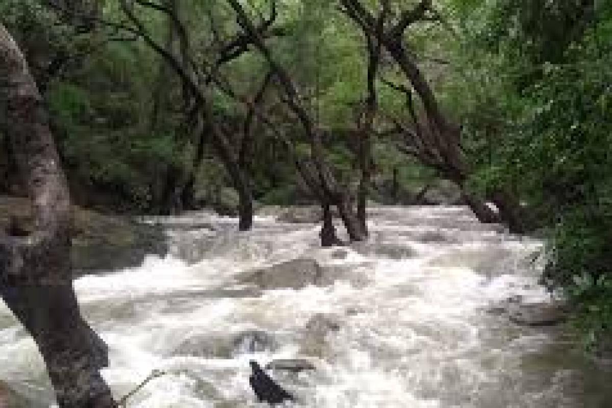 Ban-on-bathing-at-Kalakkadu-Forest-Department-announcement