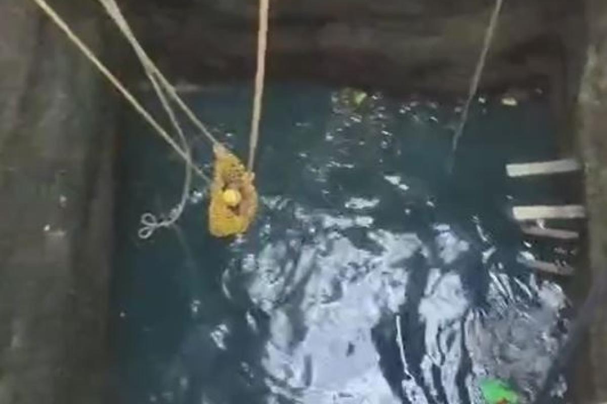 youth-falls-into-well-near-radhapuram-near-nellai