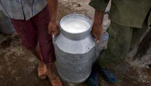Milk procurement price is Rs.25 per litre: Maharashtra government