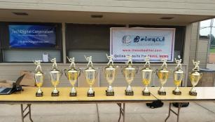 Minnesota tennis ball cricket match: 8 teams on the finals