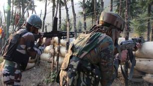5 terrorists killed in Jammu and Kashmir encounter