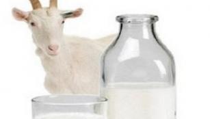 Goat Milk Cure All Diseases