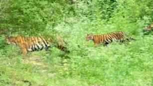 High Court orders Nilgiris District Collector