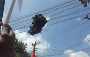 Prime-Minister-Modi-s-visit-to-protest-the-black-balloons-Vaiko-had-to-fly-in-madurai-Furore-