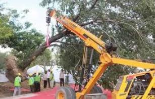 sc-stops-tree-cutting-in-mumbais-aarey-till-next-hearing-on-october-21