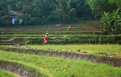 what-is-pm-kisan-and-how-to-apply