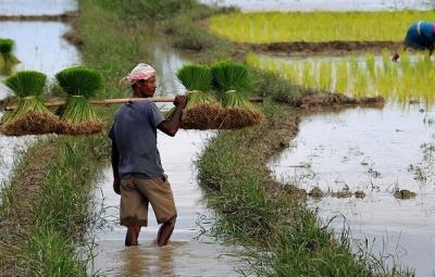 let-s-learn-about-the-kusum-scheme-of-the-central-government