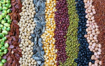 now-you-can-buy-seeds-online-government-s-new-announcement