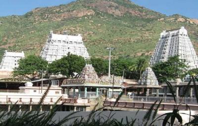 thiruvannamalai-maha-deepam-prohibition-for-devotees