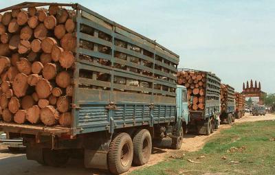 tamil-nadu-workers-summoned-to-cut-sheep-two-arrested-by-international-gang