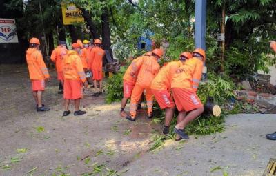 pondicherry-storm-surge-trees-fell
