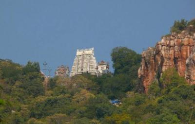 did-anjaneyar-appear-in-tirupati-ready-to-conduct-the-research