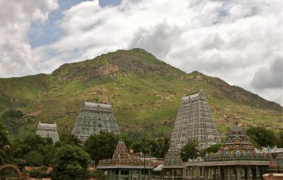 thiruvannamalai-temple-source-video-the-temple-admin-decided-to-lodge-a-complaint