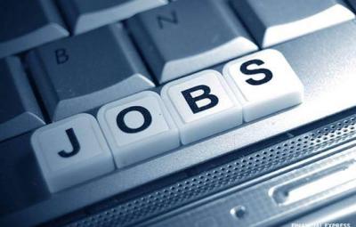 employment-in-the-national-fertilizer-production-authority