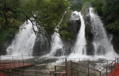the-public-will-be-allowed-to-swim-in-the-courtallam-falls-from-tomorrow