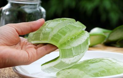 aloe-vera-gel-that-goes-into-the-cornea-of-the-eye-maintains-skin-beauty