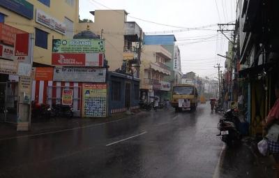 pongal-festival-without-enthusiasm-due-to-rain