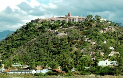 the-oldest-copper-pad-was-found-in-palani