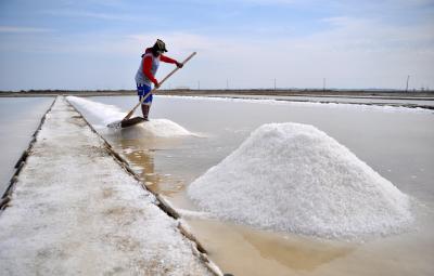 salt-production-starts-after-5-months-in-thoothukudi-district