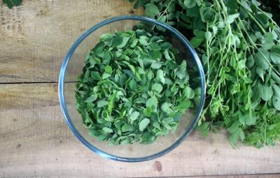 the-erectile-dysfunction-will-go-away-gives-bone-to-bone-eat-this