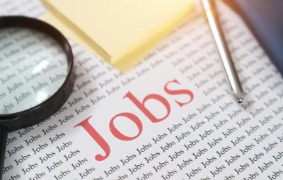 employment-for-management-graduates