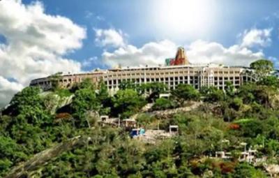 palani-panchamirtham-will-now-arrive-through-postal-parcel