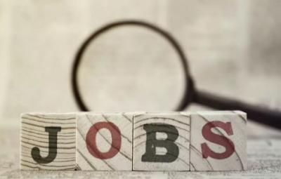 employment-for-diploma-graduates