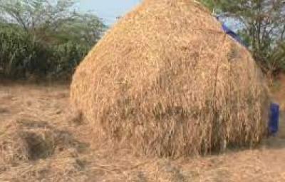 income-tax-raids-in-admk-ministers-and-mla-places