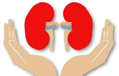 can-reduce-creatine-levels-how-do-you-know