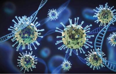 shocking-information-about-the-corona-virus