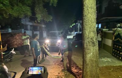 shock-in-ngo-s-shoes-a-python-knocked-on-the-door-of-a-house-in-nellai-at-midnight