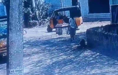 gang-steals-goats-in-auto-in-nellai-cctv-footage-released-creating-a-stir