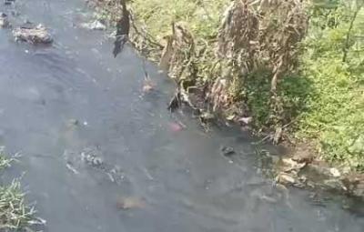 sewage-flowing-into-tamirabarani-again-will-action-be-taken
