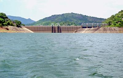 heavy-rain-in-paddy-fields-water-levels-in-dams-have-been-rising-steadily