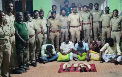 attempt-to-sell-elephant-ivory-and-teeth-in-nanguneri-5-arrested