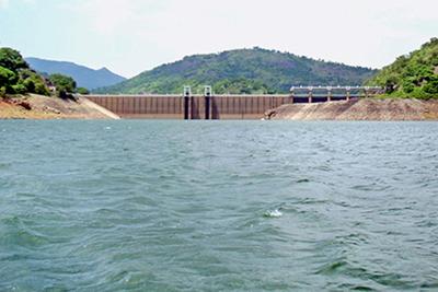 papanasam-dam-water-level-reaches-134-feet-adavinayanar-dam-water-storage-increases