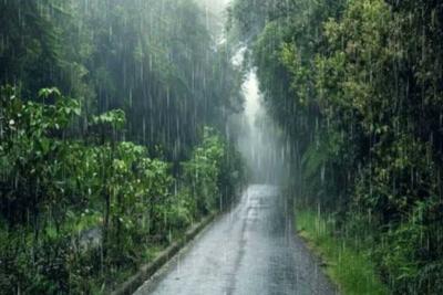 heavy-rains-in-tirunelveli-western-ghats-dams-filling-up-fast