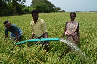 full-of-water-in-the-dam-farmer-isssue-in-nellai