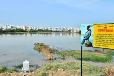 permission-for-construction-work-in-the-pallikaranai-wetland-area-social-welfare-movement-condemns