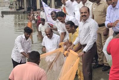 work-begins-to-release-1-lakh-fish-in-the-thamirabarani-river