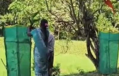 kanyakumari-panchayat-officials-cheated-officials-by-grafting-burnt-saplings