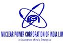 Nuclear Power Corporation Chairman appointed