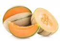 importance-of-musk-melon-to-health